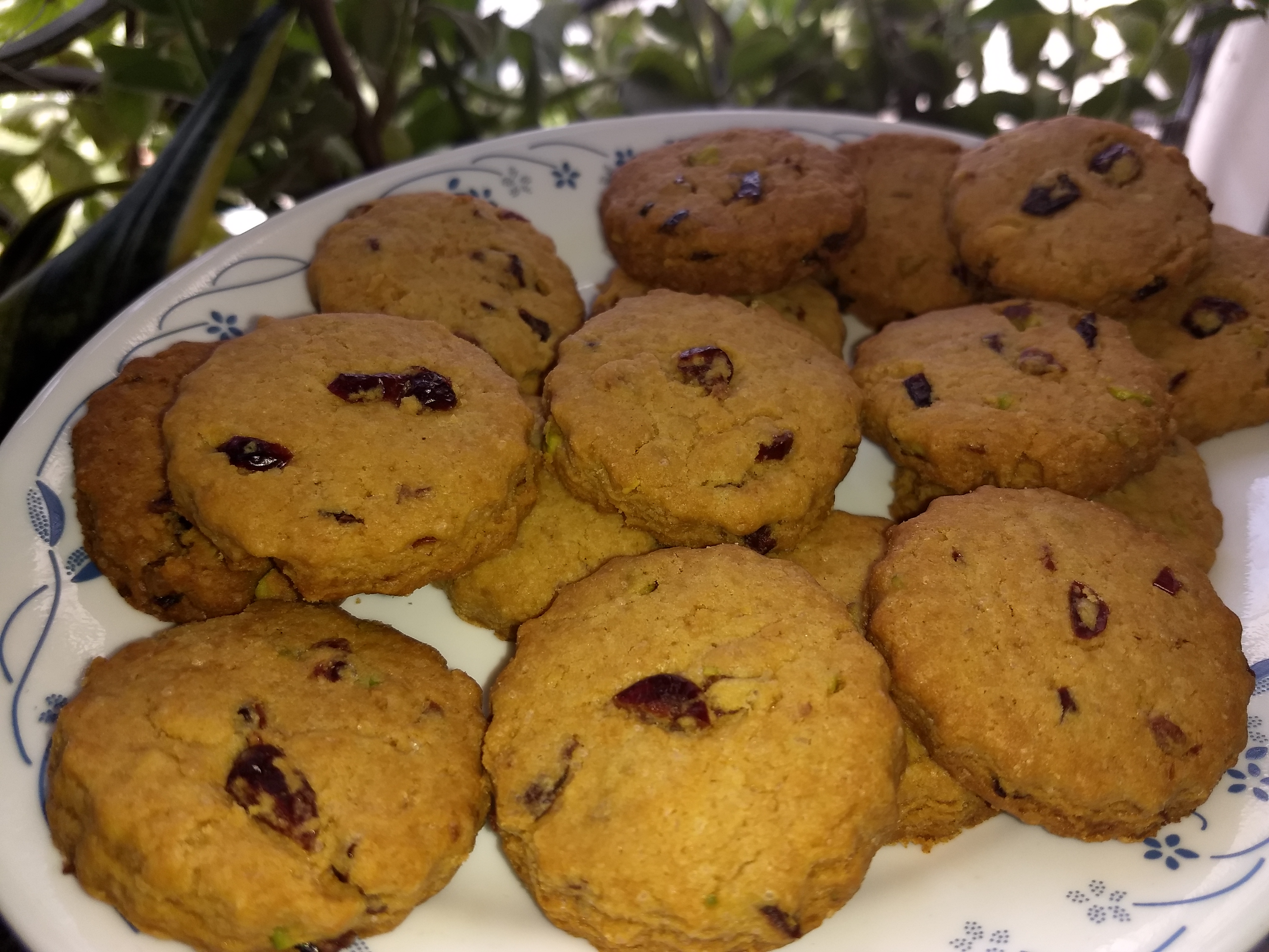 Whole Wheat Cranberry Pista Cookies